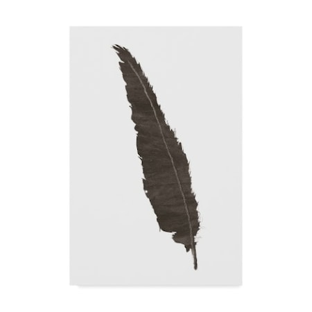 Chris Paschke 'Black Feather Vi' Canvas Art,22x32